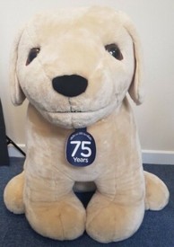 giant andrex puppy toy